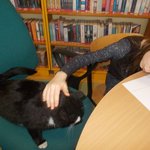 ferie-kielpino-2019-DSCN4065