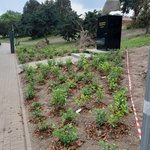 kis-III-edycja-kis-czerwiec-62109459_1845342702232403_2106075919838871552_n