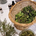 ziola-zioladkk-20220420_171437