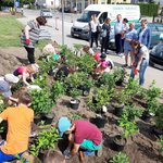 kis-III-edycja-kis-czerwiec-61721024_1845343118899028_896818518916333568_n