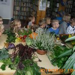 jesien-staniszewo2013-IMG_0624