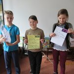 sieciaki-2017-DKK-2017-045