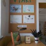 ferie-kielpino-2019-DSCN4027