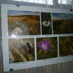 ochrona-środowiska-P7250748