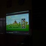 owce2015staniszewo-IMG_1150