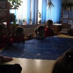 owce2015staniszewo-IMG_1174