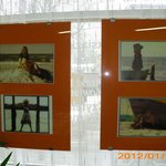 klimek-IMG_0002