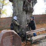 kis-II-edycja-warsztaty6-IMG_0329