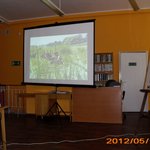 petek-IMG_0049