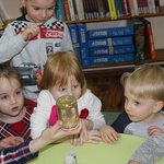 krolowa-sniegu-IMG_7156