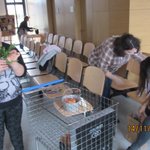 kis-II-edycja-8-warsztaty-IMG_0034