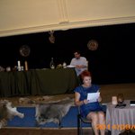 narodowe-czytanie-zdjecia-IMG_0042