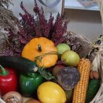 kielpino-dzieci-jesien-aniolek-received_348942110317239