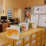 ferie2015kielpino-DSCN0373