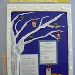 plebiscyt15-02-11-IMG_0006