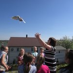 ptasia-bajka-IMG_0632